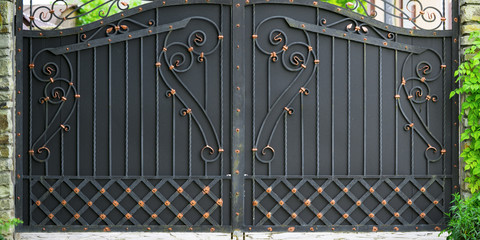 Forged gates and gate. Front of the house.