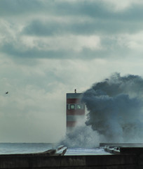 Farol