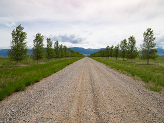 Fototapeta na wymiar A Rural Gravel Road Lined with Trees and green grass. Mountains are in the distance and cloudy sky above.