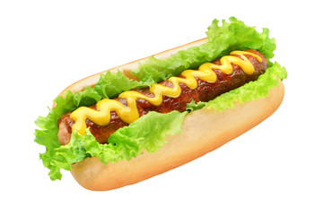 Hot dog isolated