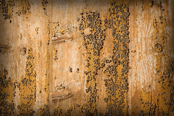 Old wooden texture as background.