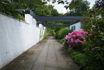 Back yard of the house in the form of an avenue, with plants and flowers, Germany, Hamburg.