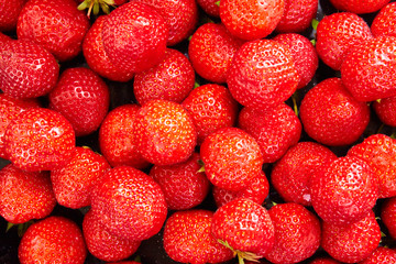 Ripe fresh strawberry
