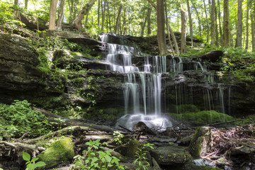 Gunn Brook Falls