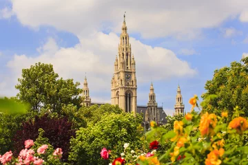 Foto op Plexiglas Bell tower of St. Stephen's Cathedral, Vienna © bepsphoto