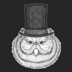 Cat Top hat, cylinder. Hipster animal, gentleman. Classic headdress. Print for children t-shirt, kids clothing.