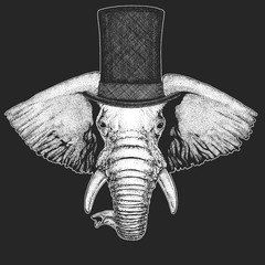 Elephant Top hat, cylinder. Hipster animal, gentleman. Classic headdress. Print for children t-shirt, kids clothing.