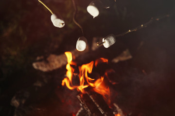 Frying marshmallows on bonfire at night, closeup. Camping season