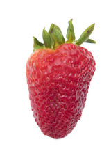red strawberries isolated in white background