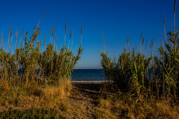 Beach. Wild beach and the Mediterranean Sea. Andalusia, Spain.