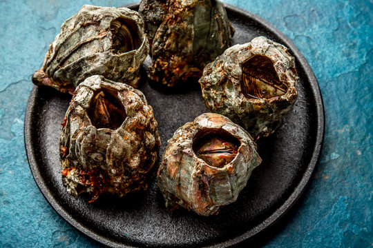 SEAFOOD PICOROCO. Austromegabalanus psittacus, the giant barnacle or picoroco. Chilean and peruvian cost seafood