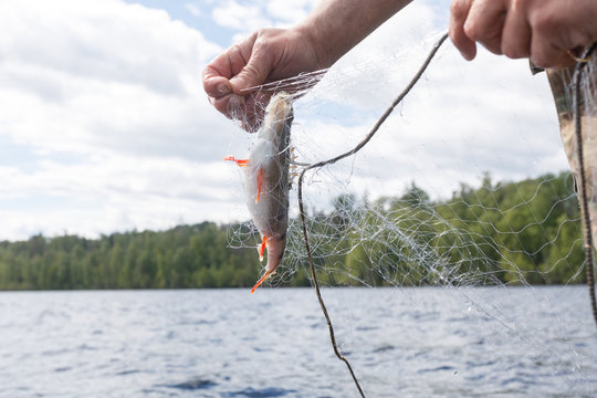 Fishing Nets On A Boat