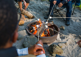 Young Adults Roasting Marshmallows Over Outdoor Campfire