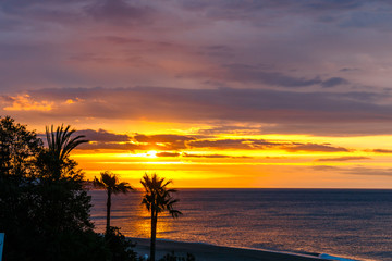Fototapeta na wymiar Silhouette of palm trees at sunset, Spain