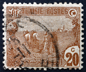 Postage stamp Tunisia 1906 Plowing