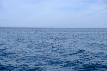 Obraz premium atlantic water