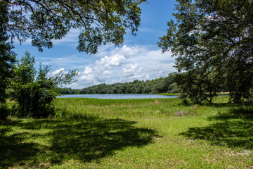 Withlacoochee State Forest