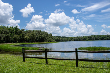 Withlacoochee State Forest