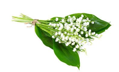 lilly of the valley isolated on white