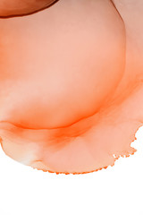 Alcohol Ink Composition