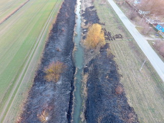 Irrigation canal with burned reeds along the shore. Ashes from the grass