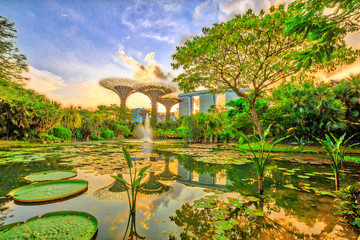 Blaue Stunde Skyline von Gardens by the Bay mit blauer und violetter Beleuchtung und modernem Wolkenkratzer, der sich bei Sonnenuntergang im Seerosenteich widerspiegelt. Marina Bay Area in Zentral-Singapur, Südostasien.