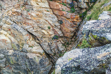 Scenic view along the Beartooth Highway in Montana.