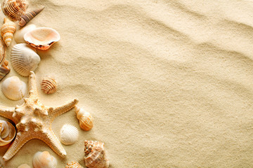 top view of sandy beach with seashells