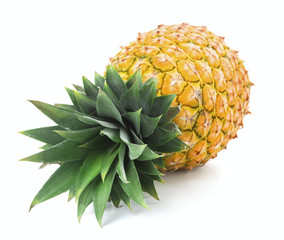 single pineapple fruit isolated on white background