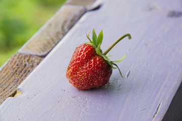 fresh juicy organic red strawberry