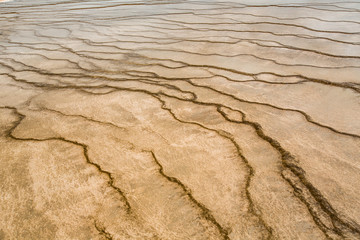 West Thumb Geyser Basin in Yellowstone National Park