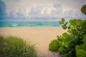 Beach Scene