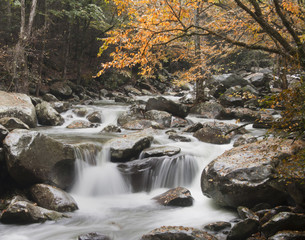 Waterfall in Autumn