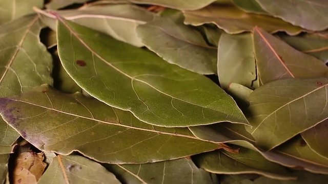 Laurel leaf. Dry whole spice leaves rotating pattern macro texture background backdrop footage video.