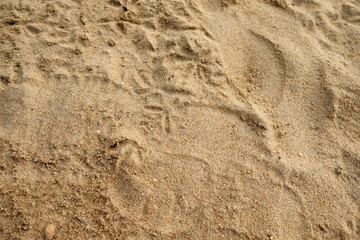 Top view of sand on the beach in the summer.