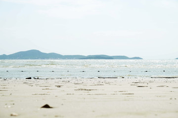 Fototapeta na wymiar Soft ocean wave on sandy beach.