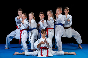 young, beautiful, successful multi ethical karate kids in karate position.