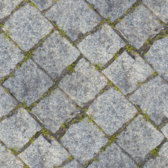 Seamless photo texture of pavement tile from stone with grass