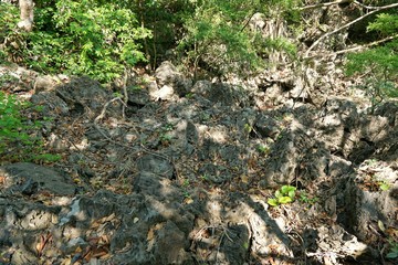 stone texture, Old cracked stone wall background, Rock, concrete background. Empty concept.