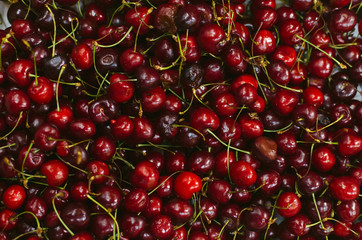 Rotten cherry berry background. Top view.
