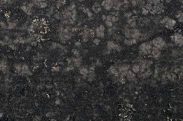 Fototapeta na wymiar Dry soil dirt texture background.
