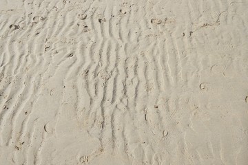 Abstract, Sand texture abstract background. Sandy beach for background. Top view. space for your text.  Too soft