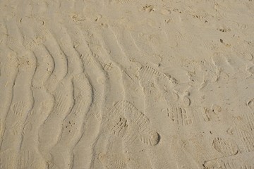 Abstract, Sand texture abstract background. Sandy beach for background. Top view. space for your text.  Too soft