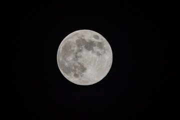 Naklejka na ściany i meble Full moon in a sky at night