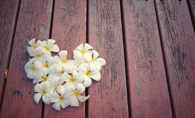 Obraz premium white and yellow plumeria flowers heart-shaped on the old wood background. valentine love and heart. valentine card. sweets. Valentines Day background with heart.Leelawadee flowers. copy space