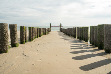 wooden poles in the sea