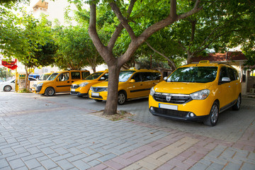 yellow city taxis stand in the shade of trees