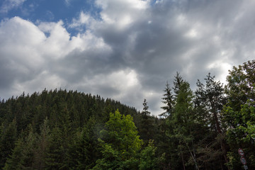Obraz na płótnie Canvas Hill, trees and cloudy sky