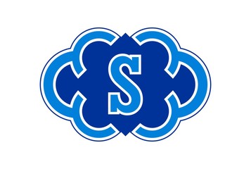 letter S logo icon vector concept