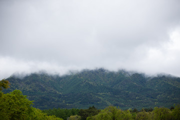 cloud moving through the mountain valley